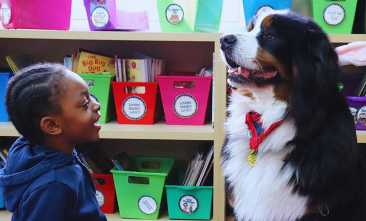 A Black child smiles facing a black and white dog. They are seated in a classroom