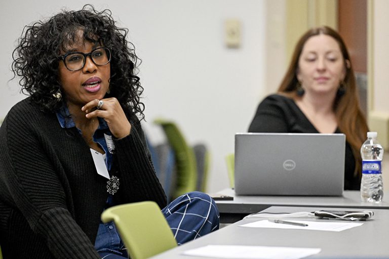 An adult speaks while another adult views a laptop.