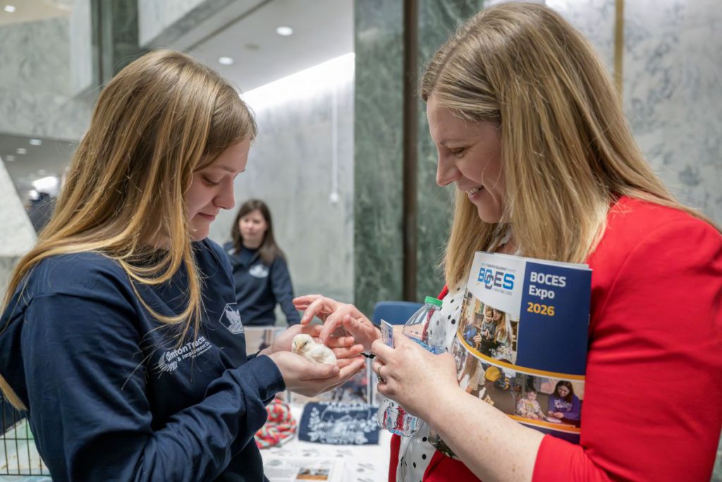 A female animal science student holds a baby chick while an attendee feels its feathers